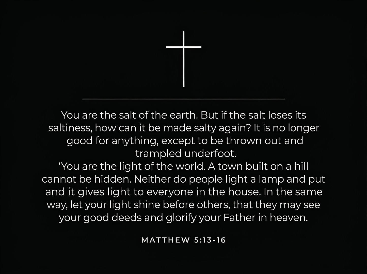 Back of Shirt Matthew 5: 13-16