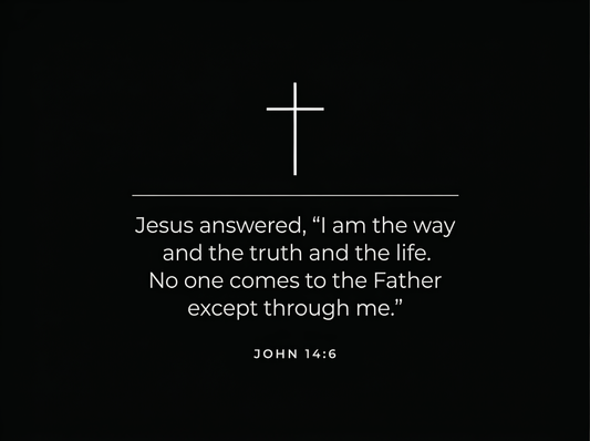 Back of Shirt John 14:6